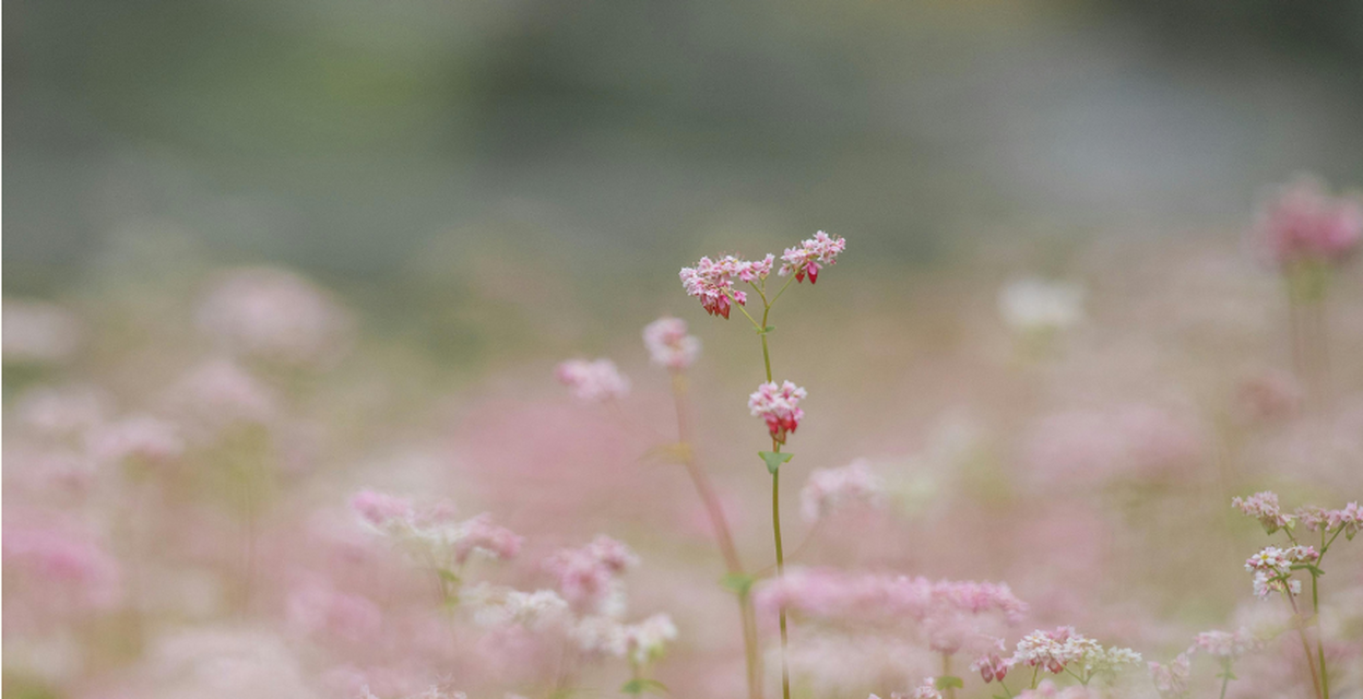 Hur är det att leva med interstitiell cystit?